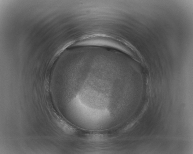 X0000081320785200701181927