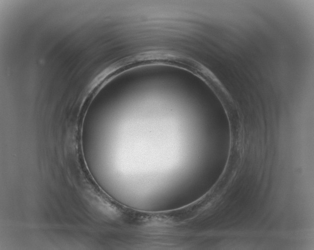 X0000081320786200701181927