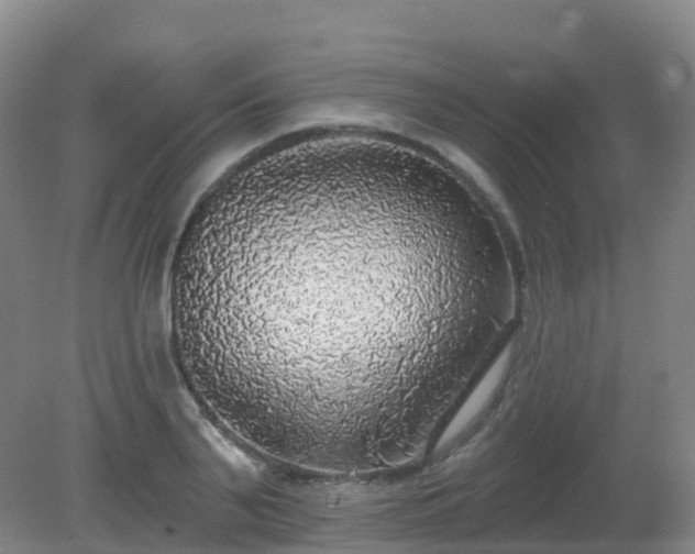 X0000081320791200701181927