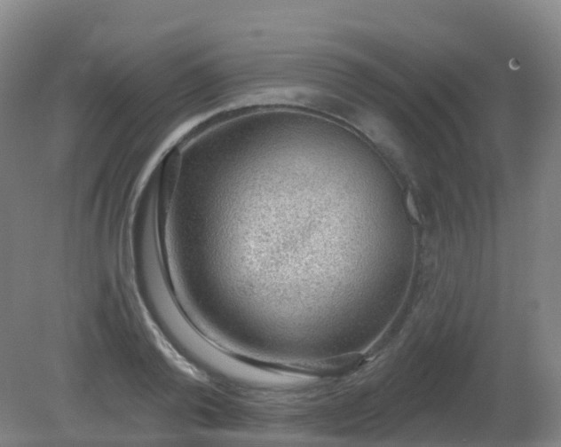 X0000081320792200701181927