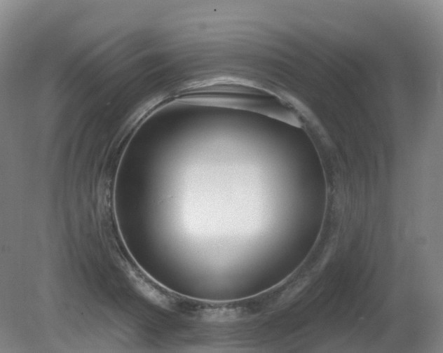 X0000081320793200701181927