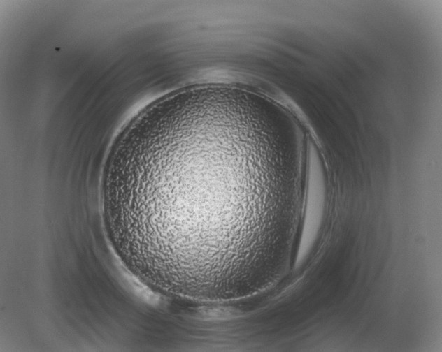 X0000081320795200701181927