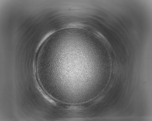 X0000081320796200701181927