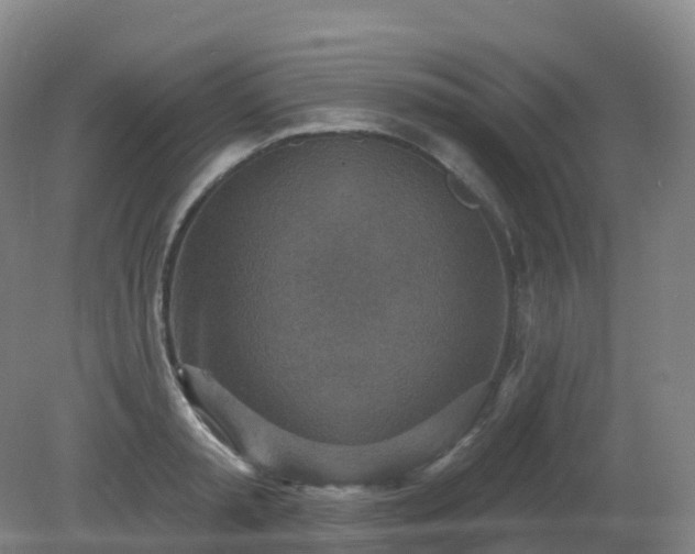 X0000081320797200701181927