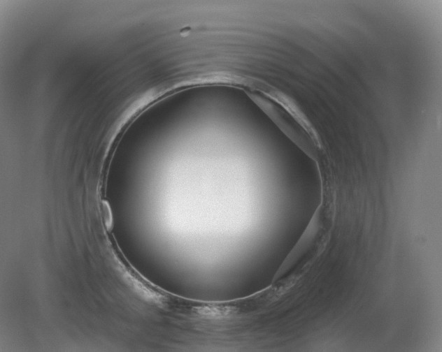 X0000081320805200701181927