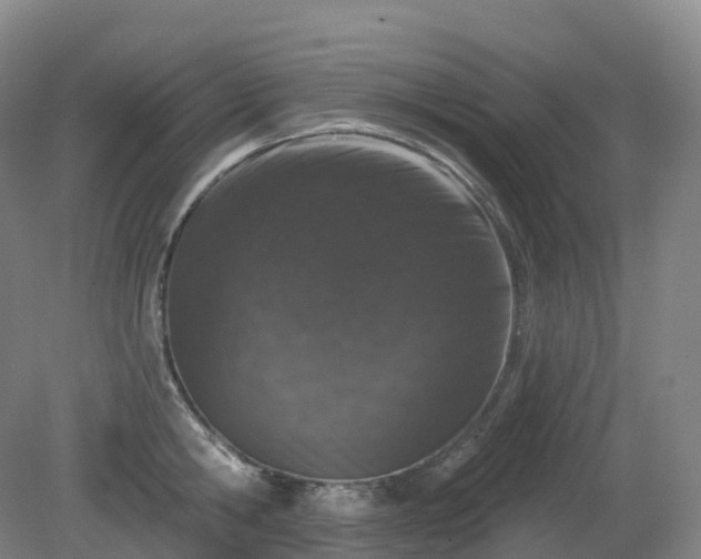 X0000081320806200701181927