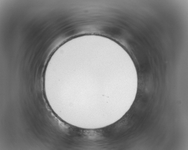 X0000081320807200701181927