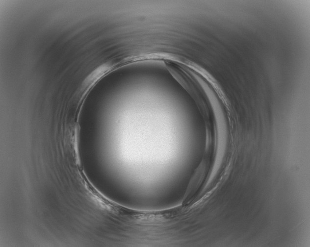 X0000081320809200701181927