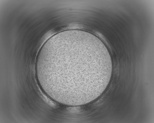 X0000081320810200701181927