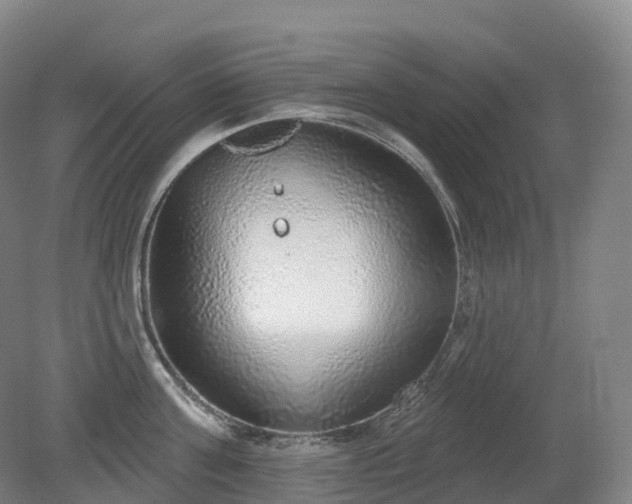 X0000081320811200701181927