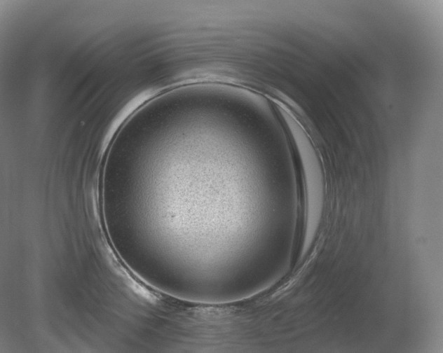 X0000081320812200701181926