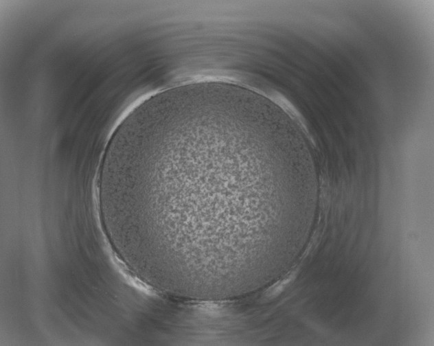 X0000081320814200701181926