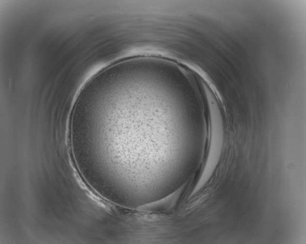 X0000081320815200701181926