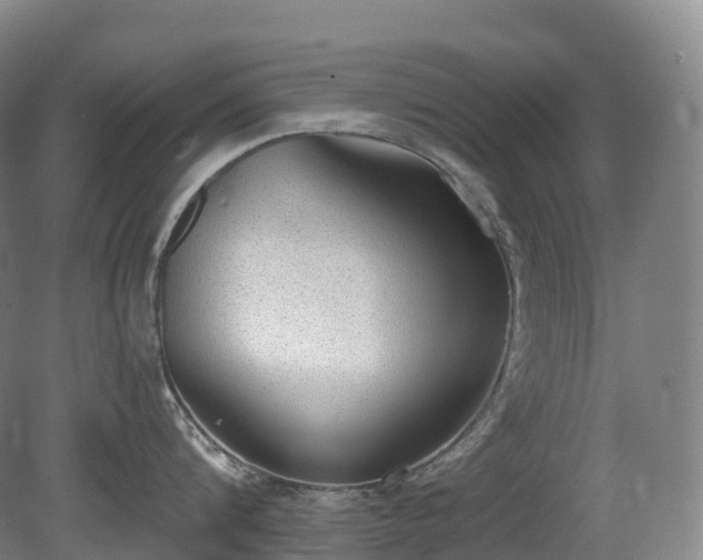 X0000081320816200701181926