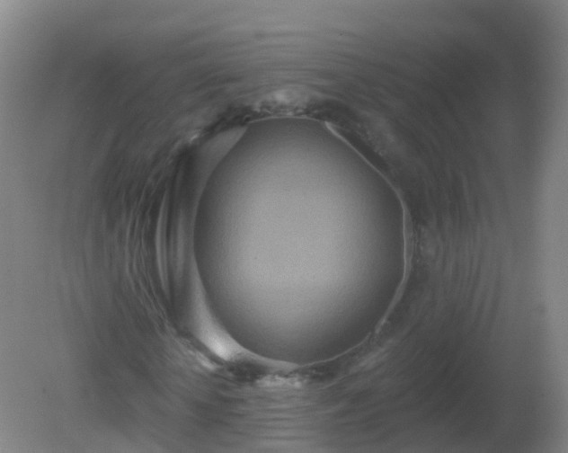 X0000081320818200701181926