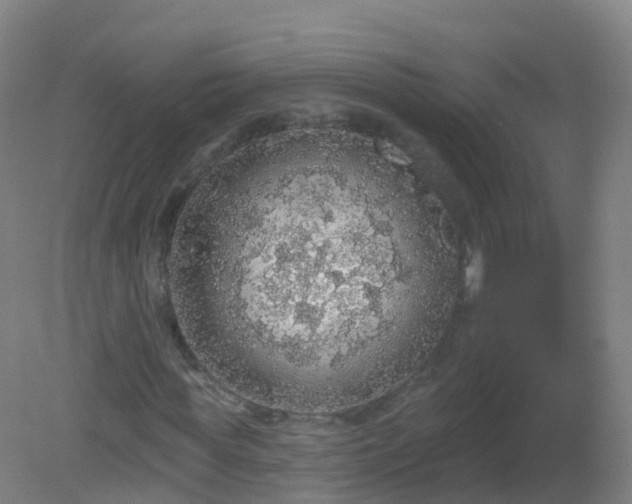 X0000081320819200701181926