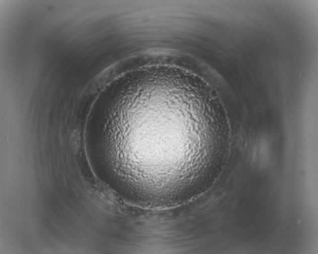 X0000081320821200701181926