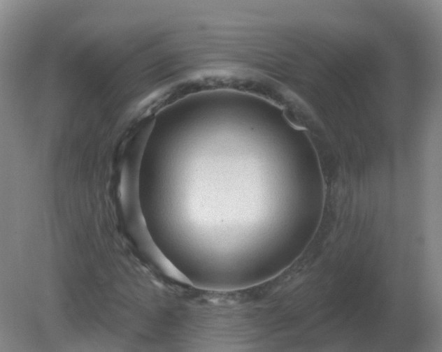 X0000081320822200701181926