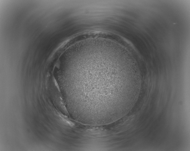 X0000081320823200701181926