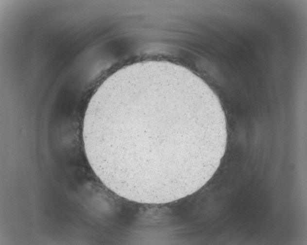 X0000081320824200701181926