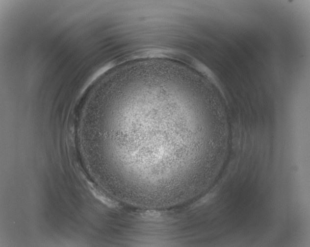 X0000081320827200701181926