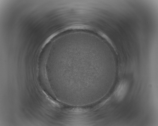 X0000081320829200701181926