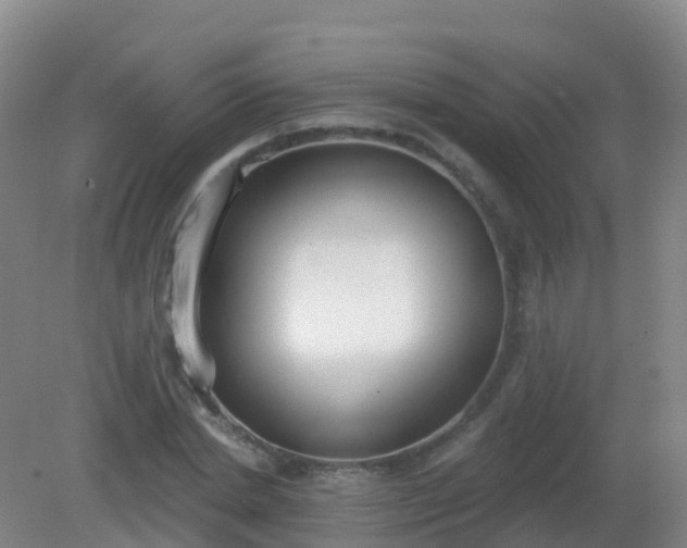 X0000081320830200701181926