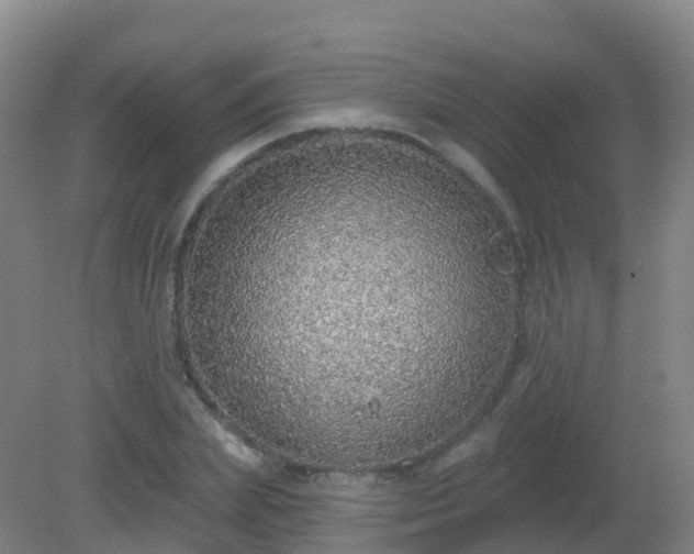 X0000081320831200701181926