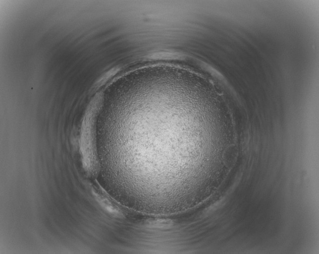 X0000081320833200701181926