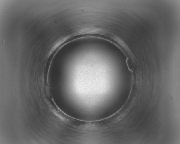 X0000081320834200701181926