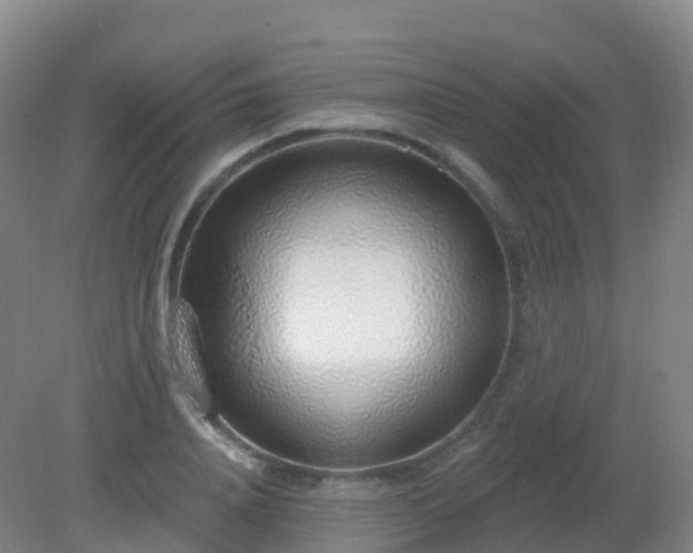 X0000081320840200701181926