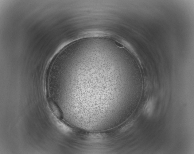 X0000081320843200701181926