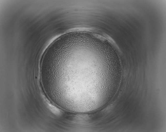 X0000081320844200701181926