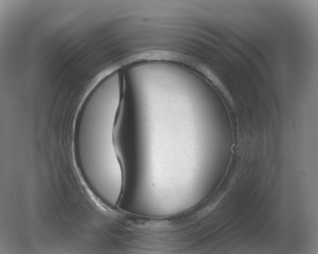 X0000081320845200701181926