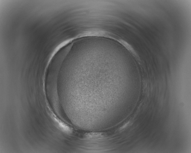 X0000081320846200701181926