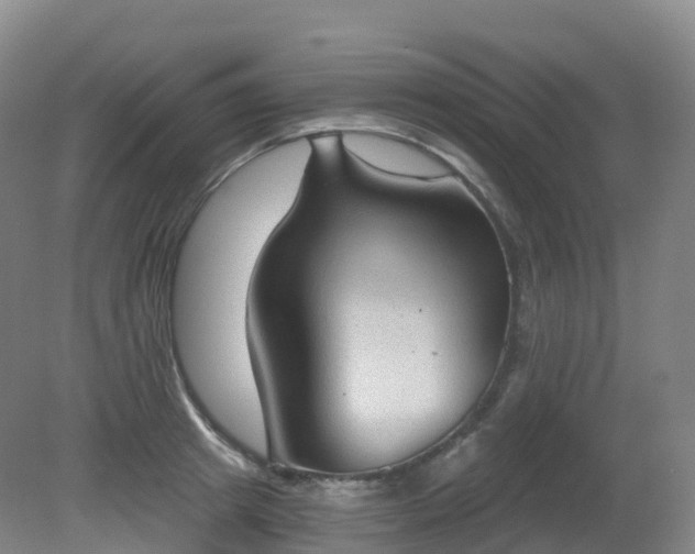 X0000081320849200701181926