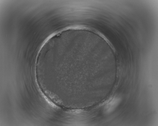 X0000081320853200701181926