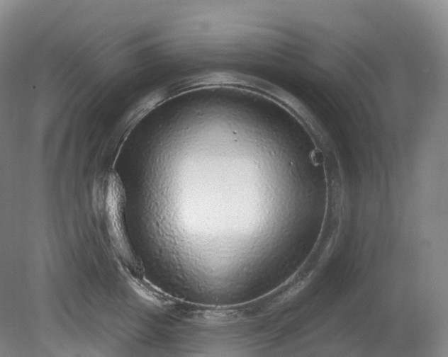 X0000081320857200701181926
