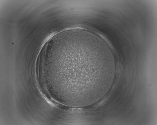 X0000081320858200701181926