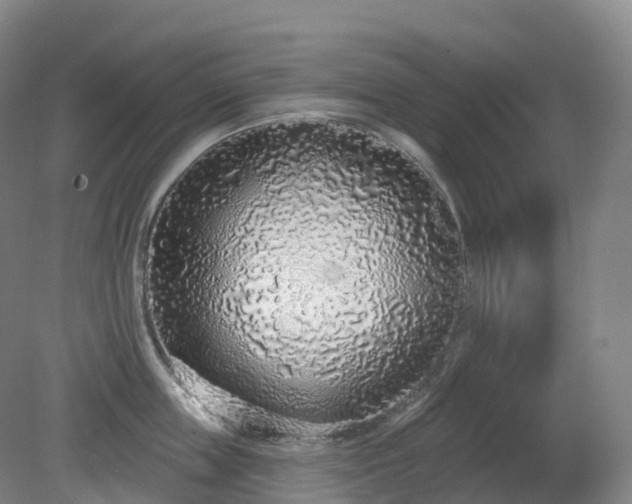 X0000081320859200701181926