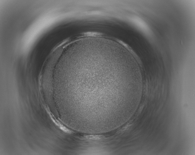 X0000081320862200701181926