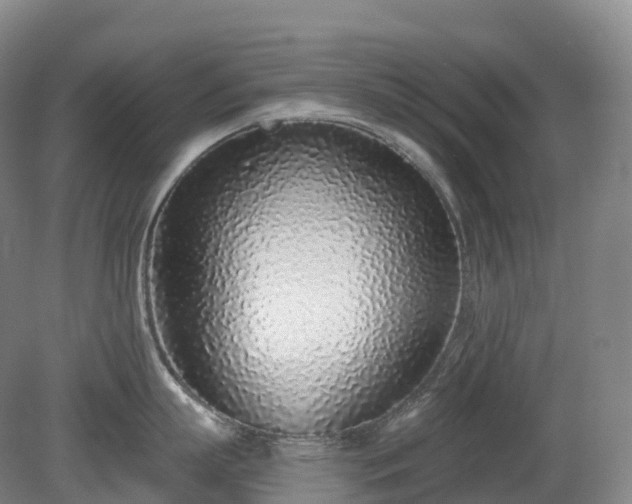 X0000081320863200701181926