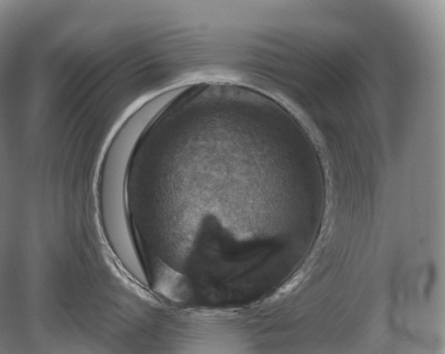 X0000081320864200701181926