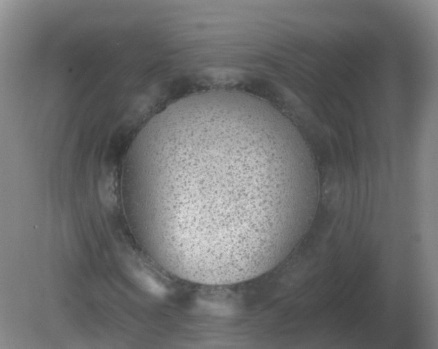 X0000081320866200701181926
