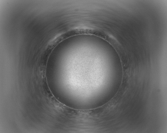 X0000081320870200701181925