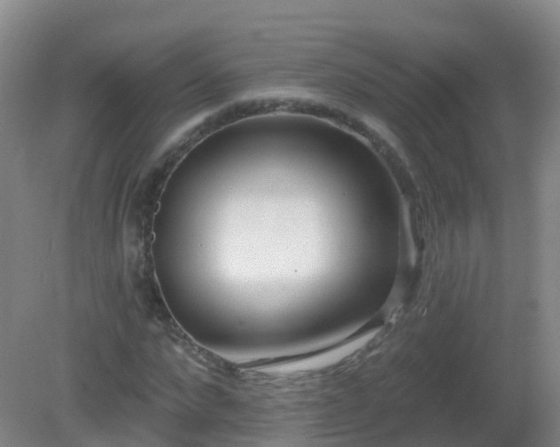 X0000081320872200701181925