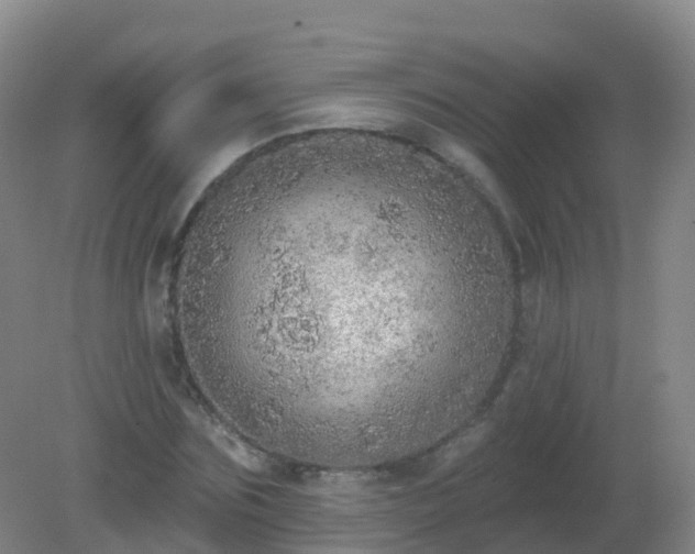 X0000081320875200701181925