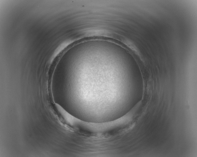 X0000081320877200701181925