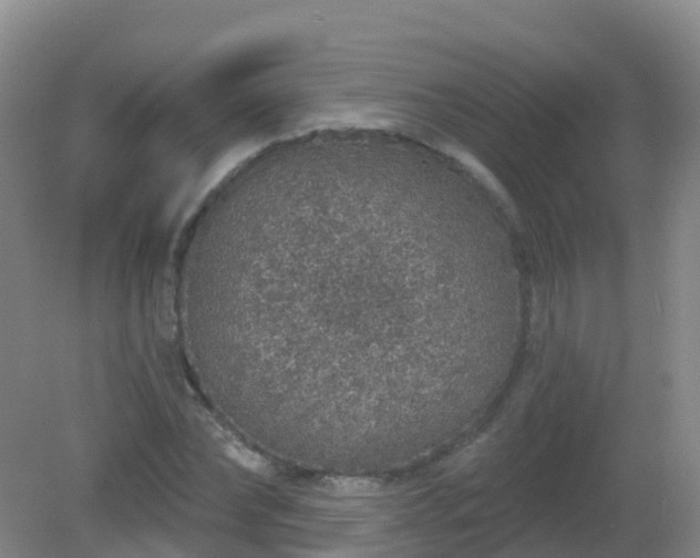 X0000081320878200701181925