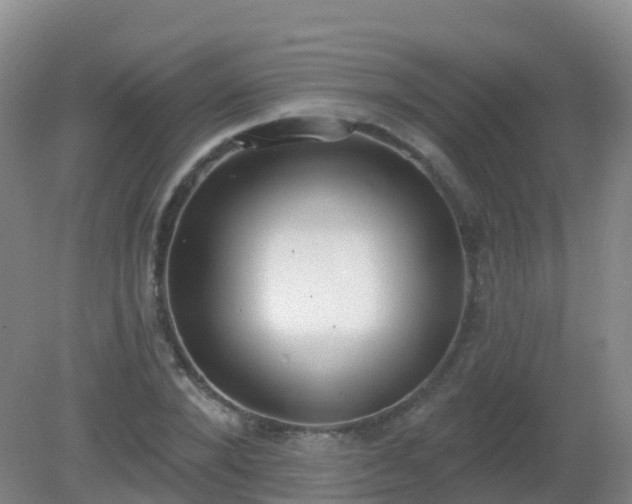 X0000081320880200701181925